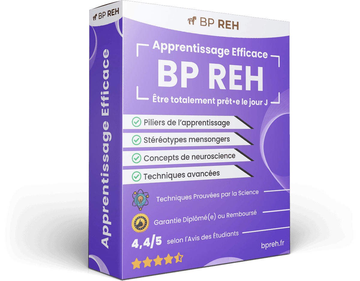 Image produit apprentissage-efficace