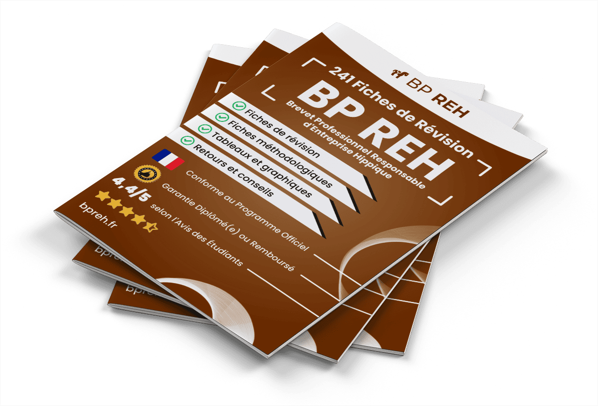 241 Fiches de Révision pour le BP REH